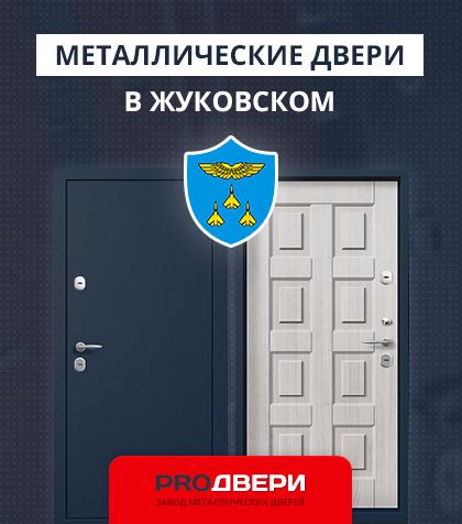 Металические двери в Жуковском