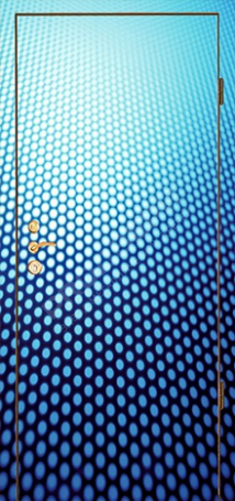 Фотография «Дверь с фотопечатью №10»