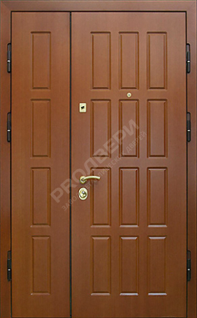 Фотография «Тамбурная дверь №5»